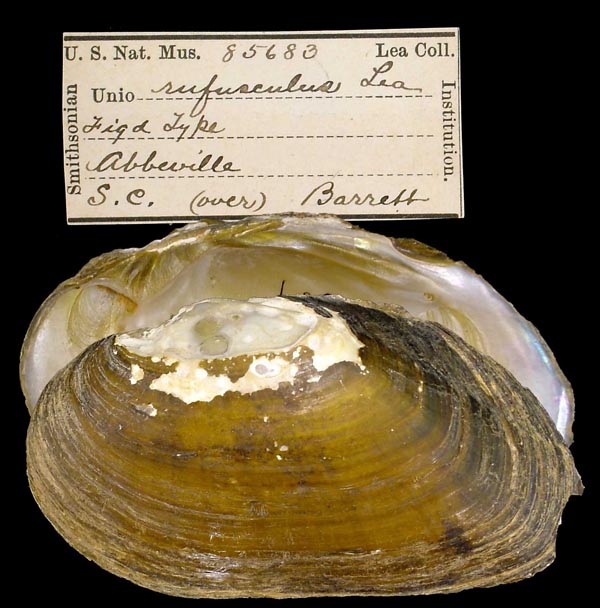 image of type lot image of type lot