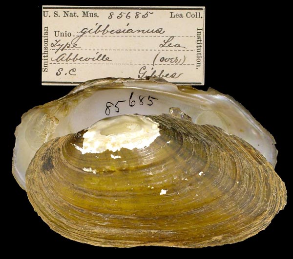 image of type lot image of type lot