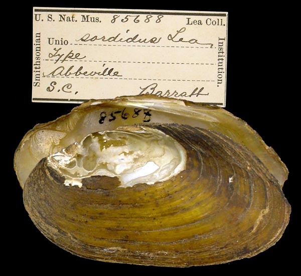 image of type lot image of type lot