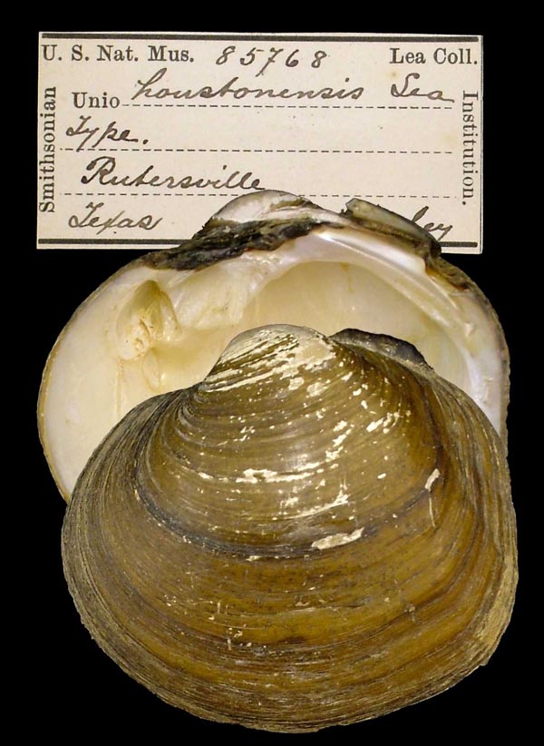 image of type lot image of type lot