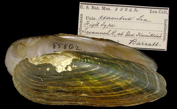 image of type lot image of type lot