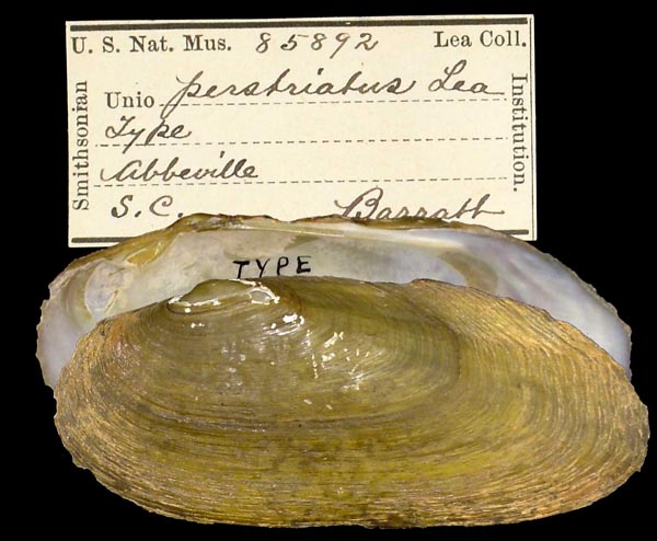 image of type lot image of type lot