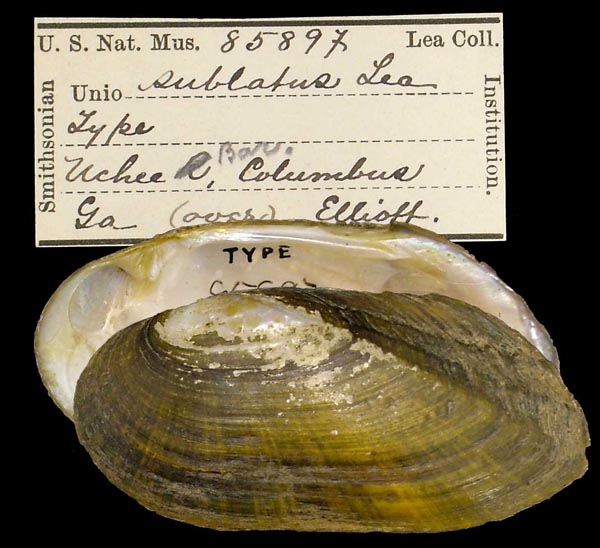 image of type lot image of type lot