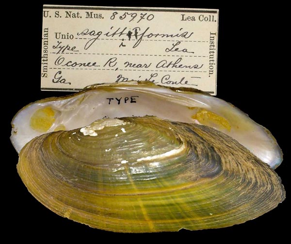 image of type lot image of type lot