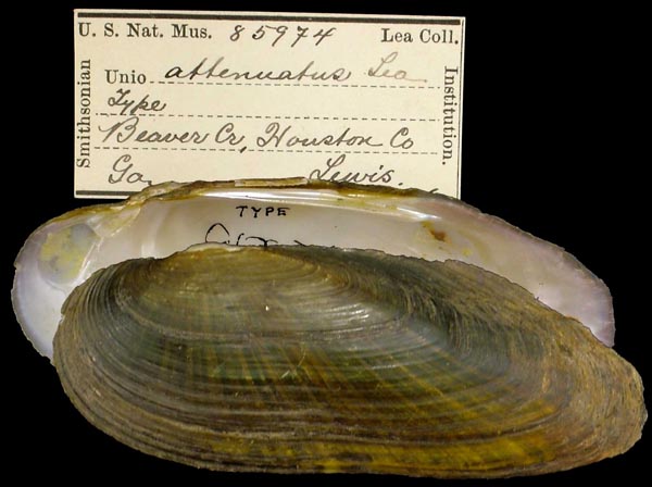 image of type lot image of type lot