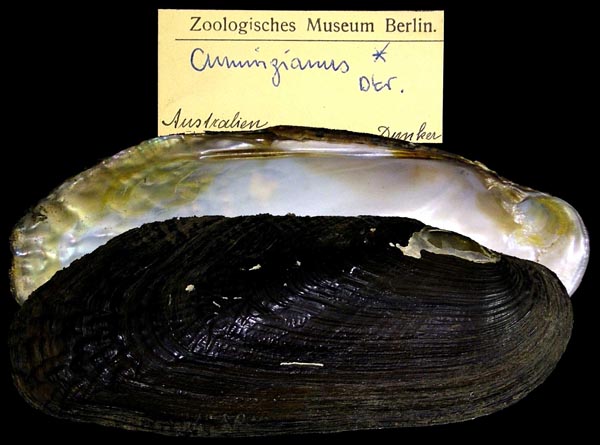 image of lot ZMB_108723