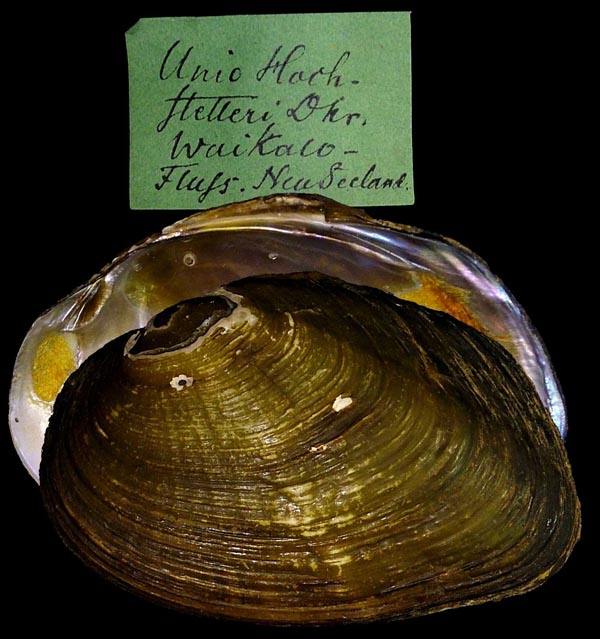 image of type lot image of type lot