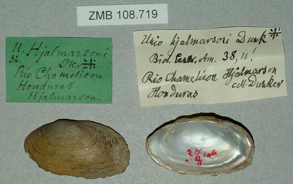 image of lot ZMB_108719