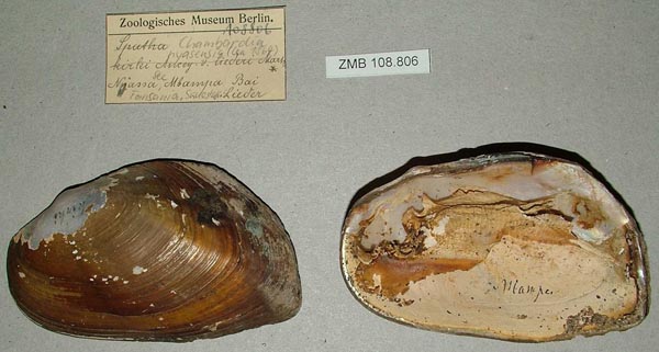 image of lot ZMB_108806