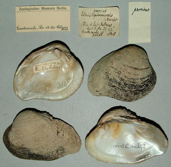 image of lot ZMB_39466