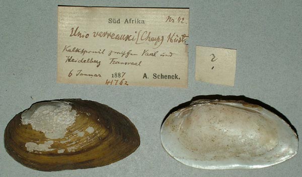 image of lot ZMB_41762