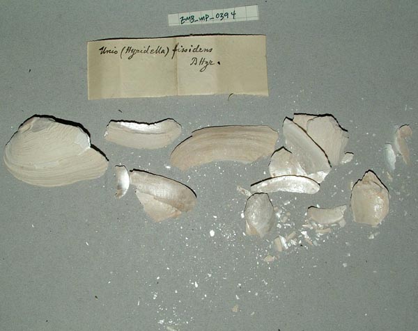 image of lot ZMB_MP_0394