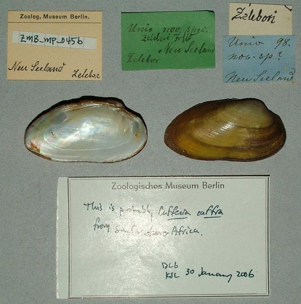 image of lot ZMB_MP_0456