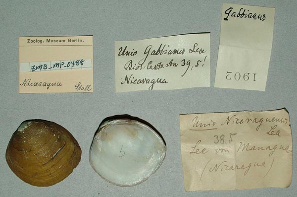 image of lot ZMB_MP_0488