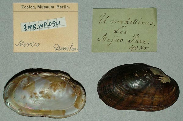 image of lot ZMB_MP_0521 image of lot ZMB_MP_0521