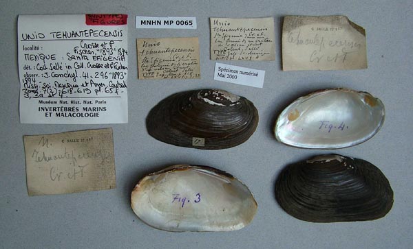 image of type lot image of type lot