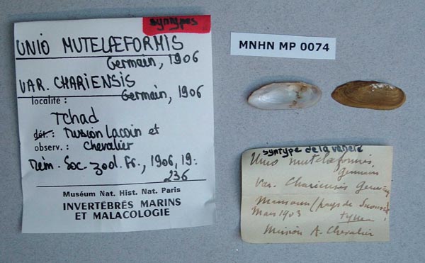 image of type lot image of type lot