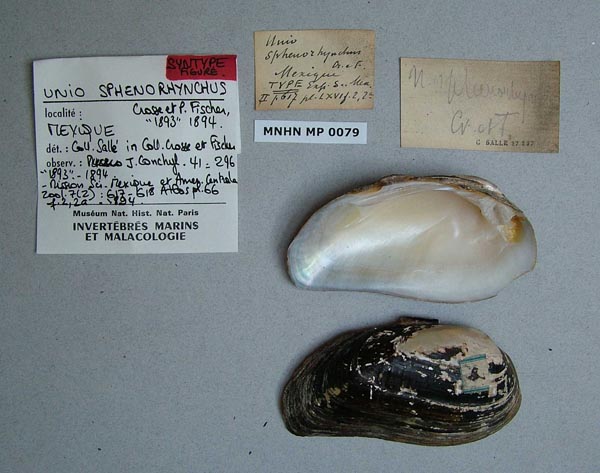 image of type lot image of type lot