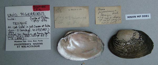 image of type lot image of type lot