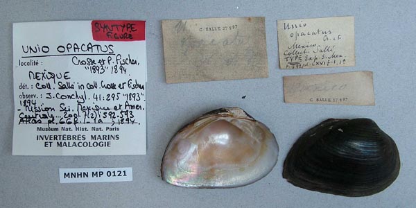 image of type lot image of type lot