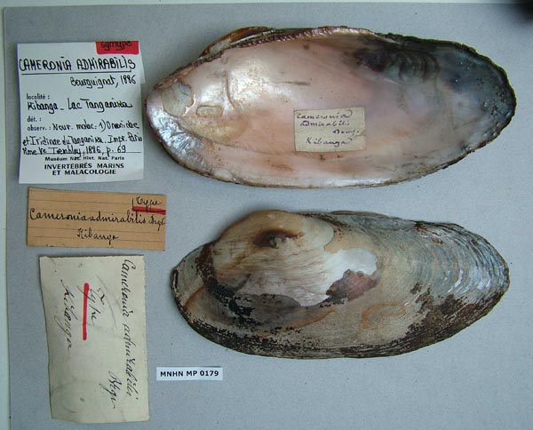 image of type lot image of type lot