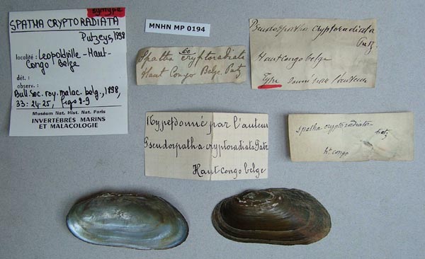 image of type lot image of type lot