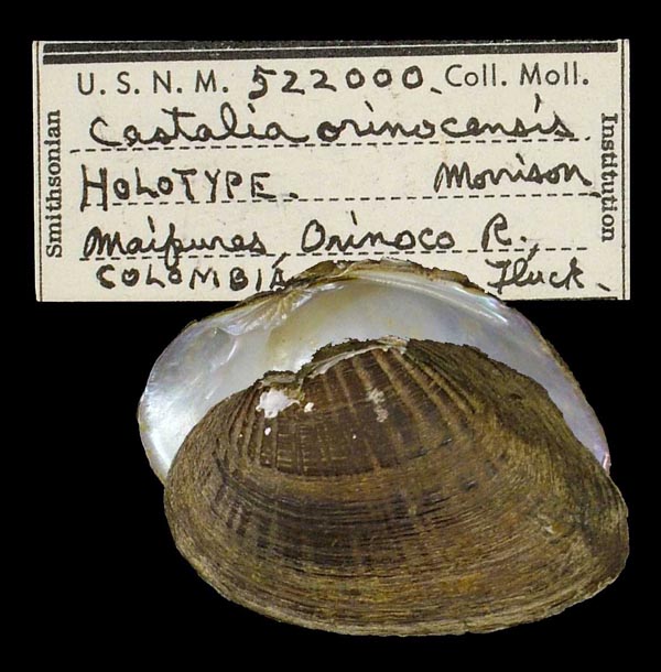 specimen