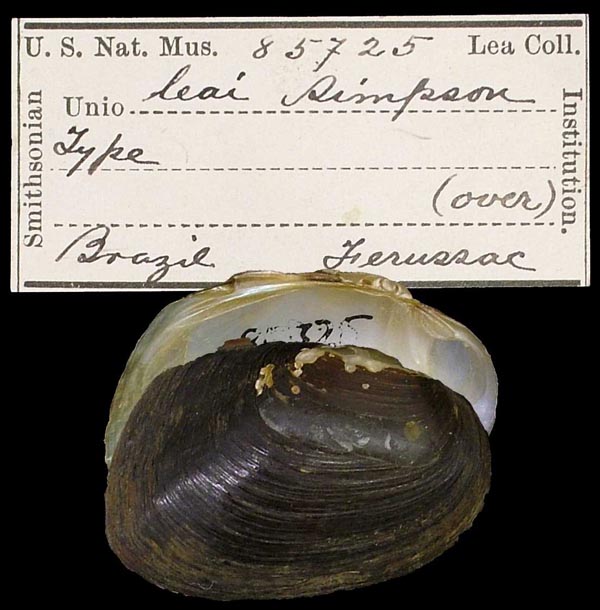 specimen