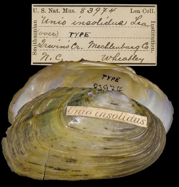 image of type lot image of type lot