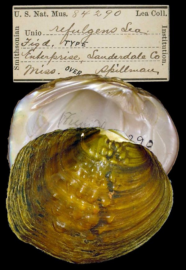 image of type lot image of type lot