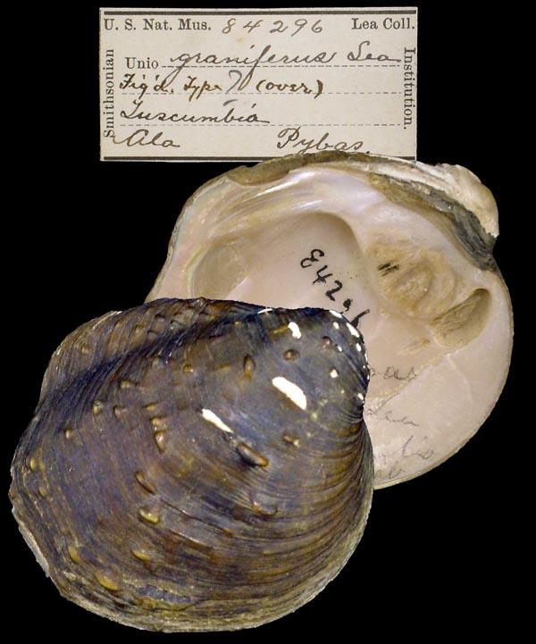 image of type lot image of type lot