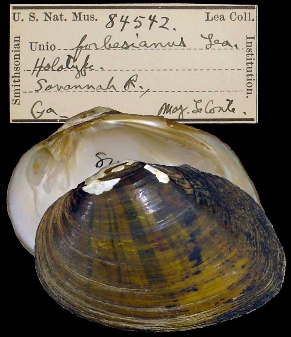 image of type lot image of type lot