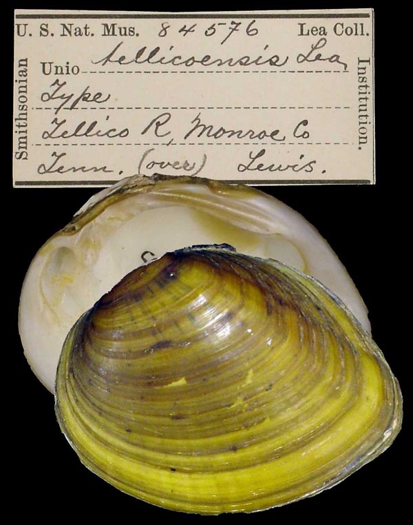 image of type lot image of type lot