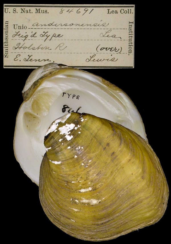 image of type lot image of type lot