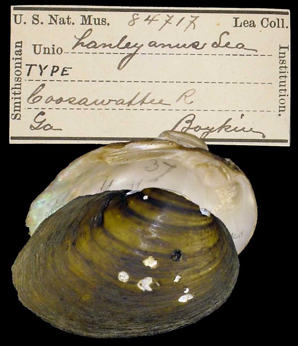 image of type lot image of type lot