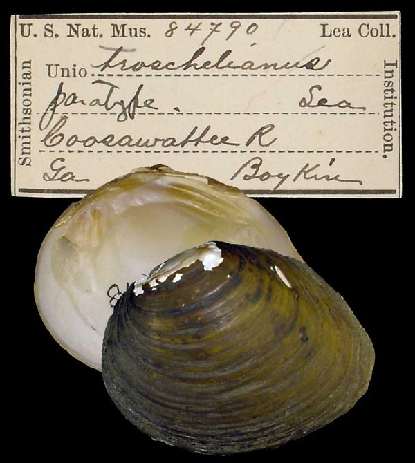 image of type lot image of type lot