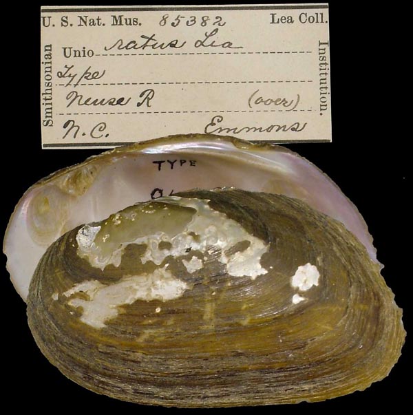 image of type lot image of type lot