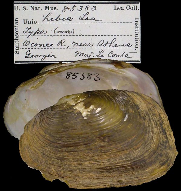 image of type lot image of type lot