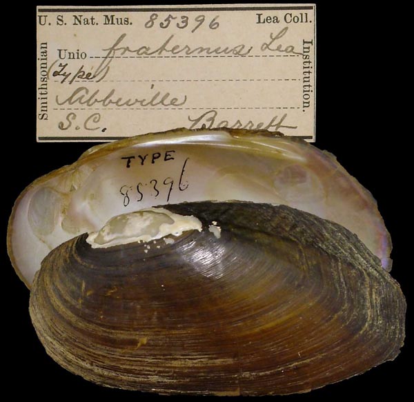 image of type lot image of type lot