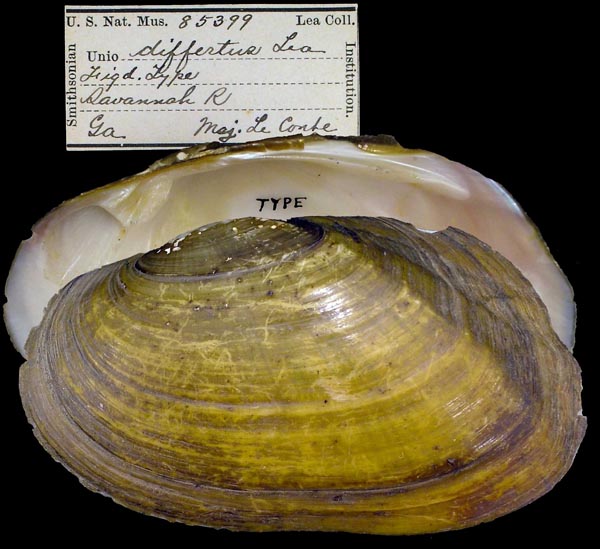 image of type lot image of type lot