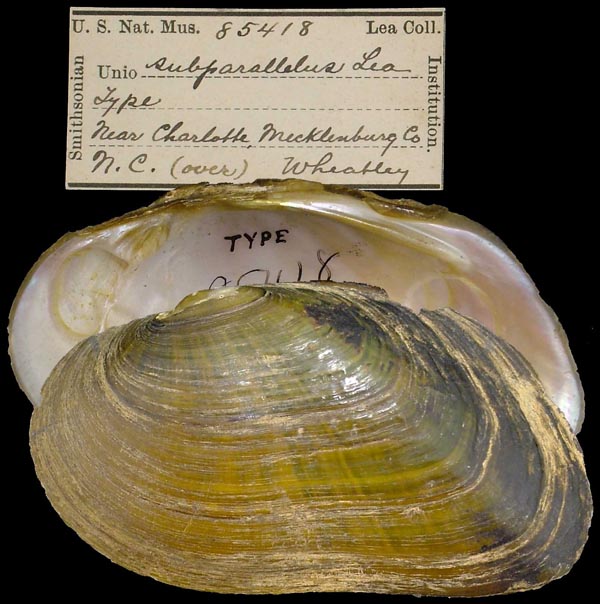 image of type lot image of type lot