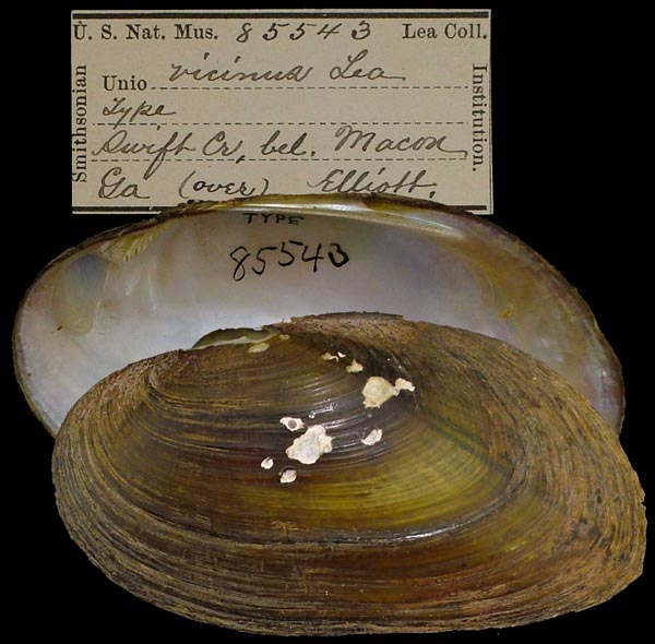 image of type lot image of type lot