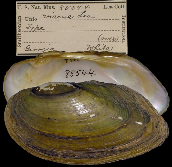 image of type lot image of type lot