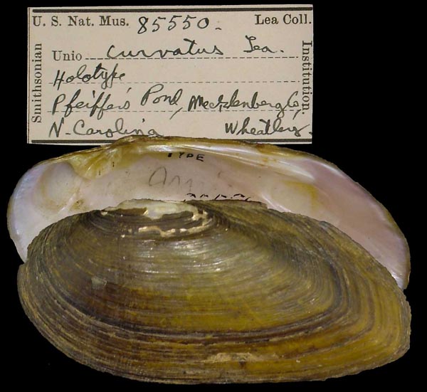 image of type lot image of type lot