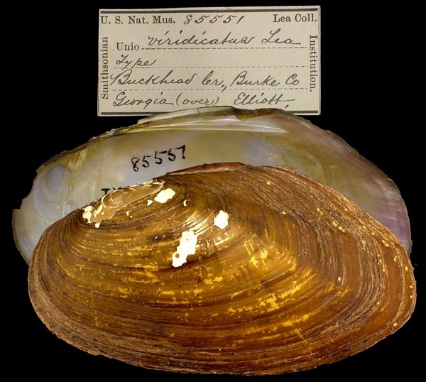 image of type lot image of type lot