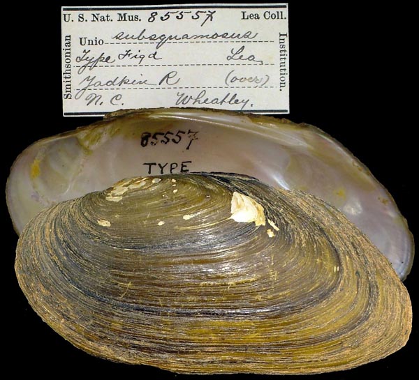 image of type lot image of type lot