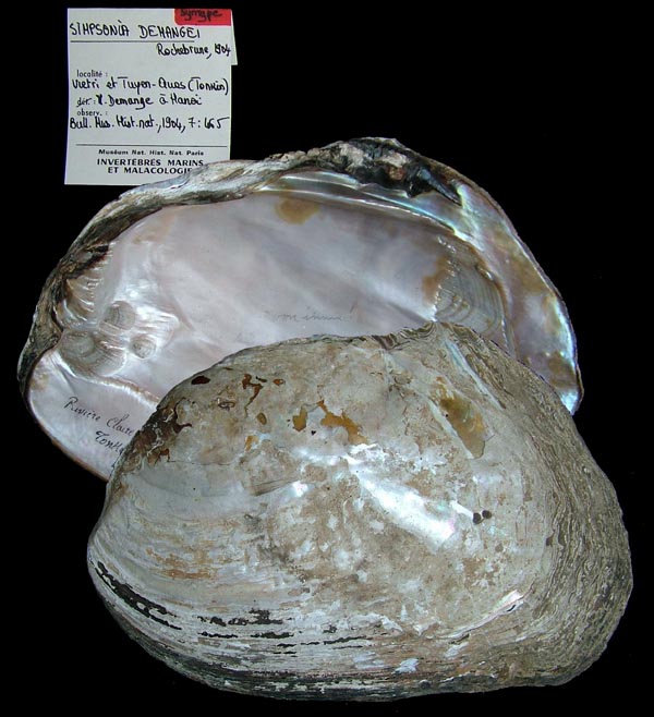 image of type lot image of type lot