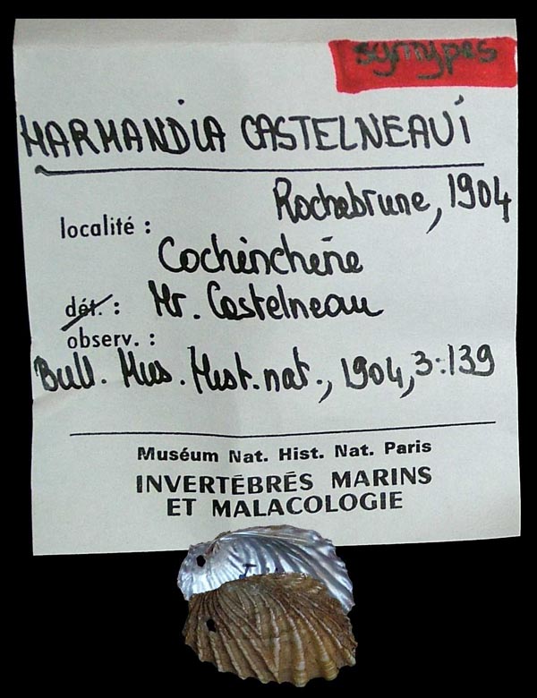 specimen
