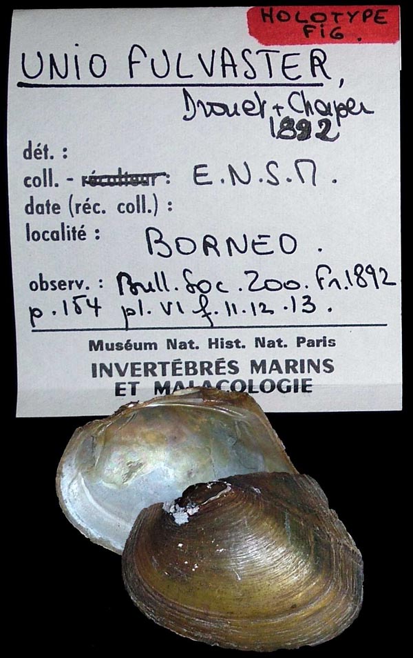 image of type lot image of type lot