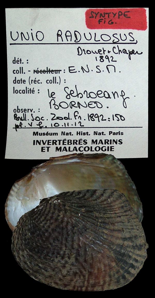 image of type lot image of type lot